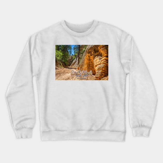 Lick Wash Trail Hike Crewneck Sweatshirt by Gestalt Imagery